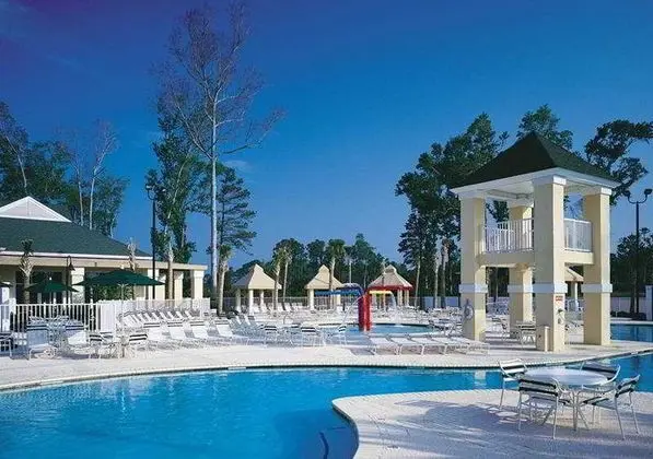 Sheraton Broadway Plantation - Havuz