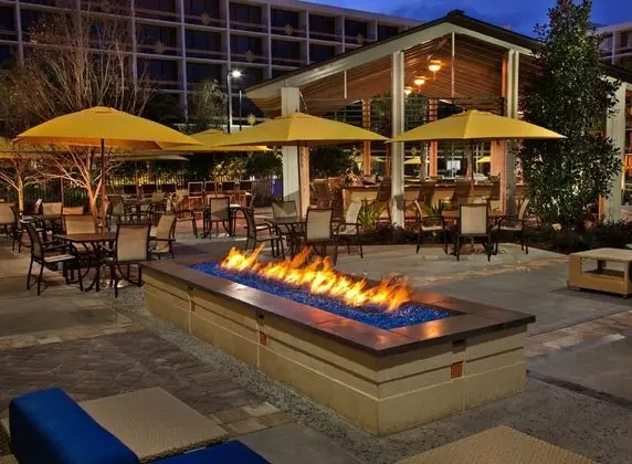 Sheraton Lake Buena Vista Resort - Yeme / İçme