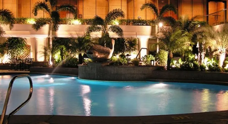 Sheraton Manila Bay - Havuz