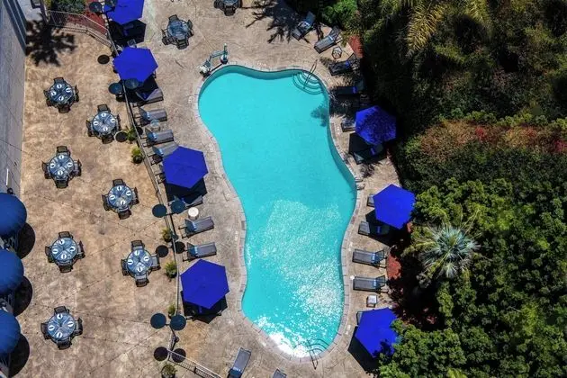 Sheraton Mission Valley San Diego Hotel - Havuz