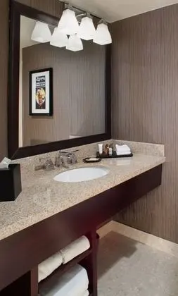 Sheraton North Houston at George Bush Intercontinental - Genel
