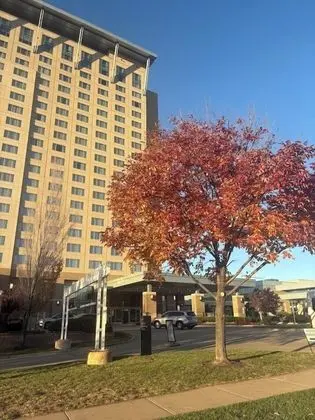 Sheraton Overland Park Hotel at the Convention Cen - Dış Mekan