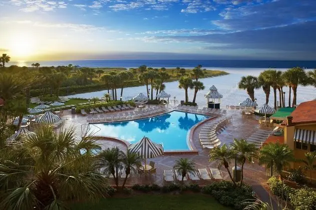 Sheraton Sand Key Resort - Havuz