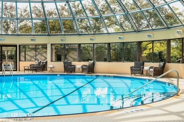 Sheraton Toronto Airport Hotel & Conference Center - Havuz