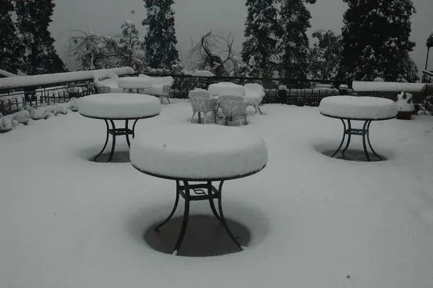 Shervani Hilltop Nainital - Dış Mekan
