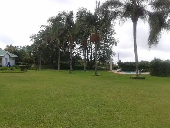 Sherwood's Country House - Havuz