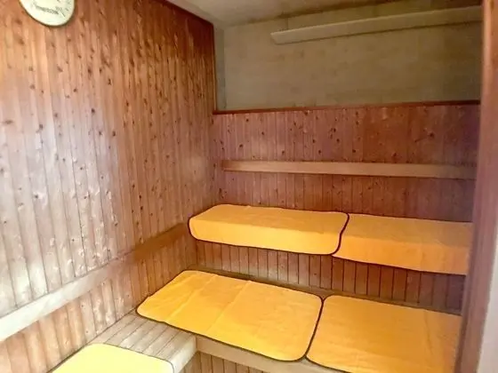 Hotel Shibukawa Hills - Havuz