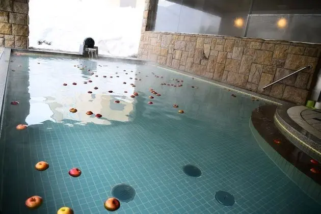Shiga Kogen Prince Hotel - Havuz
