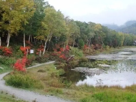 Shiga Park Hotel - Dış Mekan