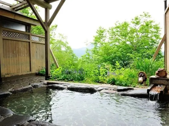 Shiga Park Hotel - Spa