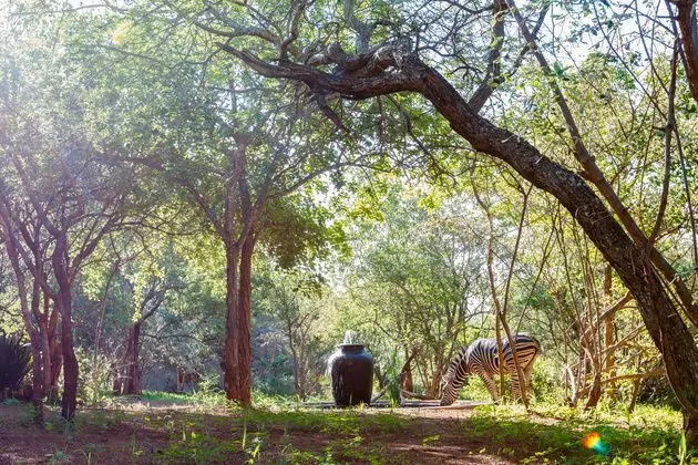 Shikwari Game Reserve
