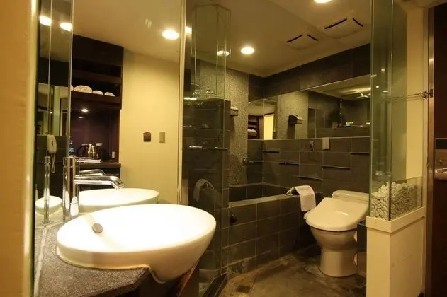 Shin Yuan Celeb Metro Hotel - Genel