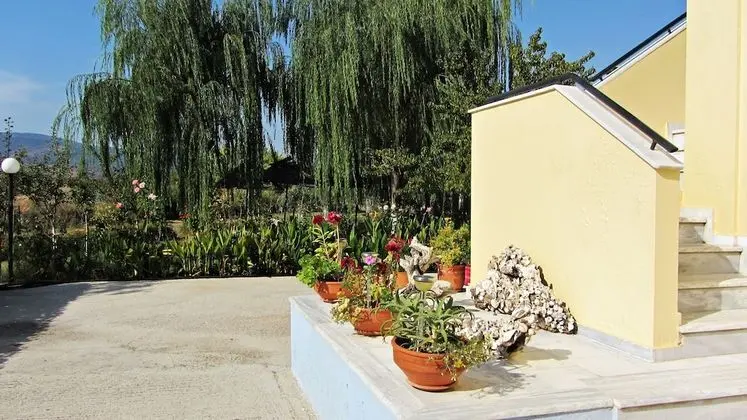 Shine Studios - Dış Mekan