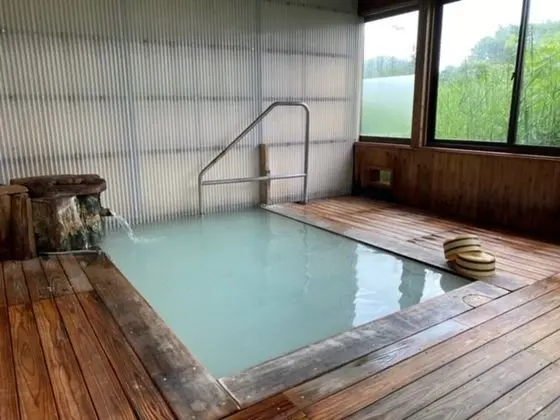 Shinnoji Onsen Sagamiya Ryokan - Sıcak Kaynaklar