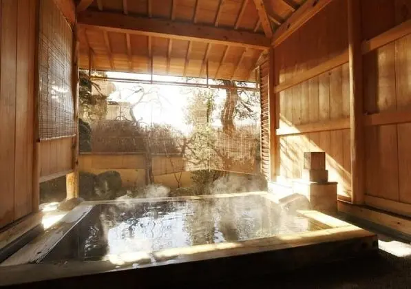 Shinshu Shimosuwa Onsen Gingetsu - Spa