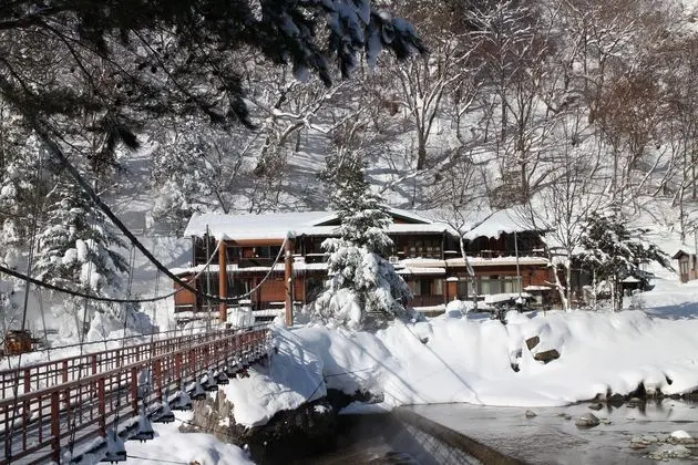 Shinzanso