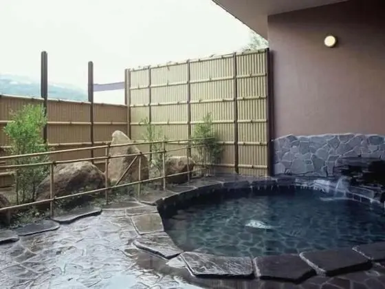 Shirakabako Hotel PAIPU NO KEMURI - Spa