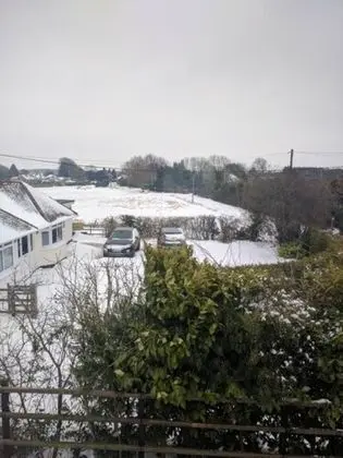 Shiralee Bed & Breakfast - Dış Mekan