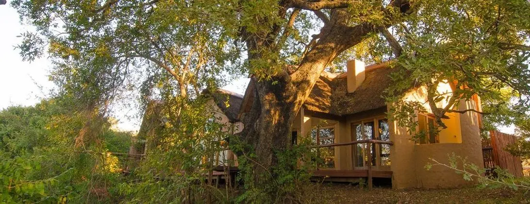 Shishangeni Main Lodge