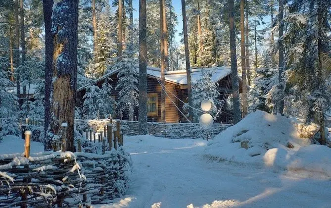 Shishki na Lampushke - Russkaya Derevnya