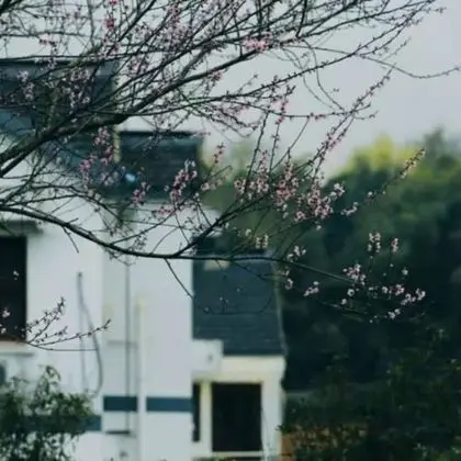 Shisui Home Guest House - 1