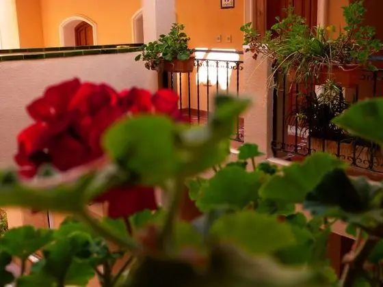Shoal Apartamentos - Dış Mekan