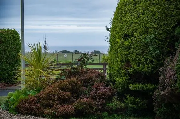 Shorelands - 1 Bedroom - Manorbier