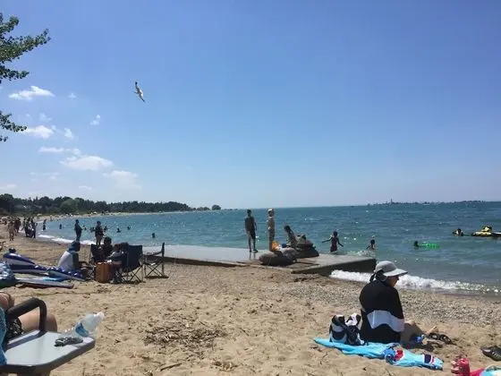 The Shores
