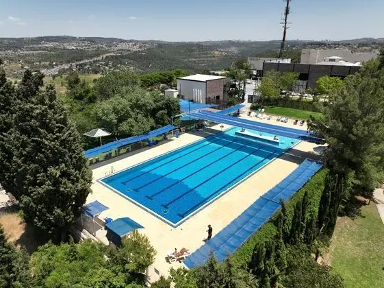 Shoresh Green Hills Family Suites Hotel - Havuz