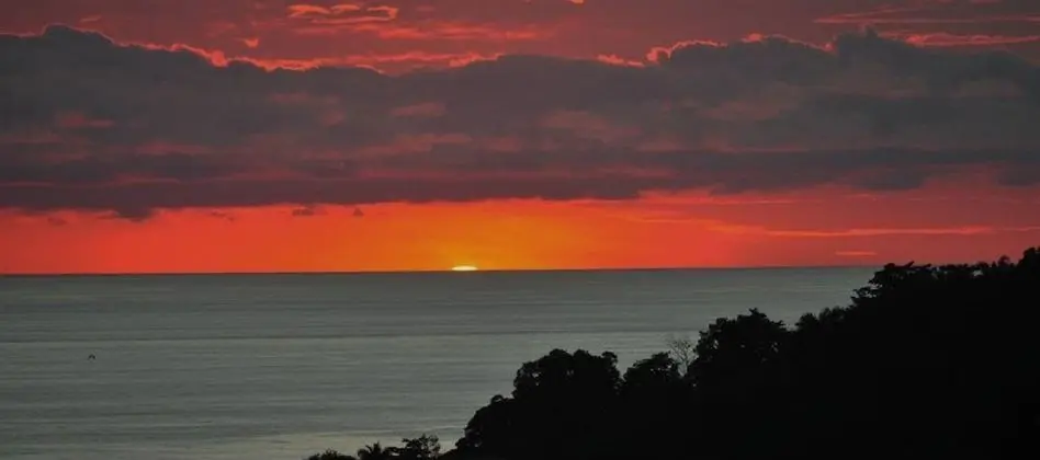 Si Como No Resort, Spa and Wildlife Refuge - Plaj