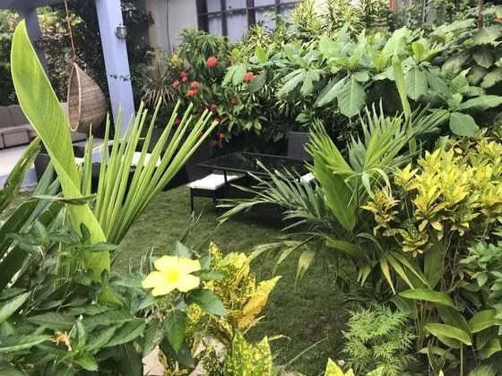 Siargao Residency - Dış Mekan