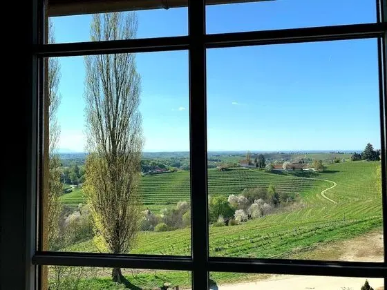 SIBON Wine & Spa Resort Jeruzalem - Dış Mekan