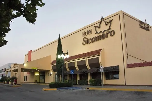 Sicomoro