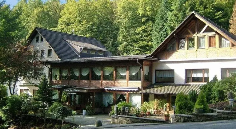 Siegerland-Hotel Haus im Walde