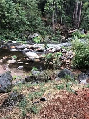 Sierra Inn on the River - Dış Mekan