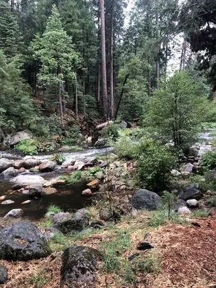 Sierra Inn on the River - Dış Mekan