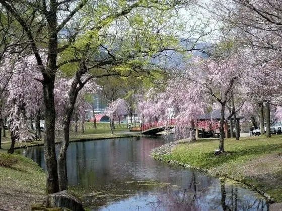 Hotel Sierra Resort Yuzawa - Dış Mekan