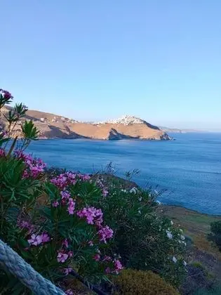 Siesta Villas Nearby Tzanaki Beach,livadi - Genel