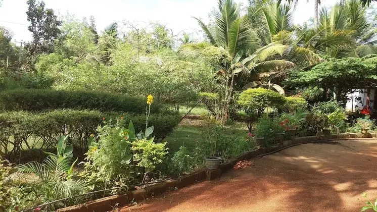 sigiriya pikaso homestay