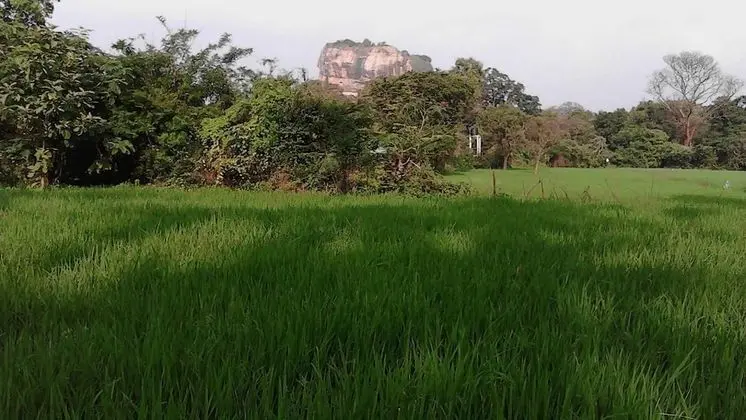 Sigiriya Vee Guest