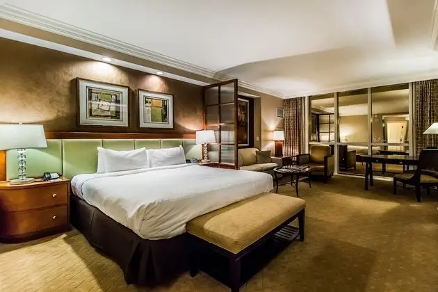 Signature MGM by Orgoto - Oda