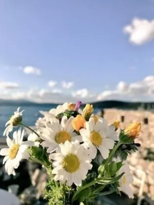 Silenos Boutique Hotel - Dış Mekan