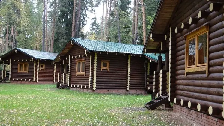 Silent Forest