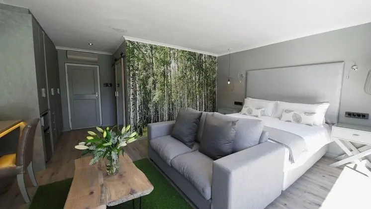 Silver Forest Boutique Hotel - Oda
