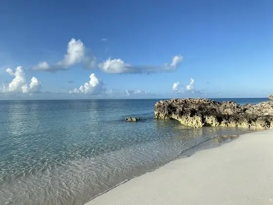 Silver Palm Vacation Rental