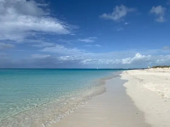 Silver Palm Vacation Rental - Plaj