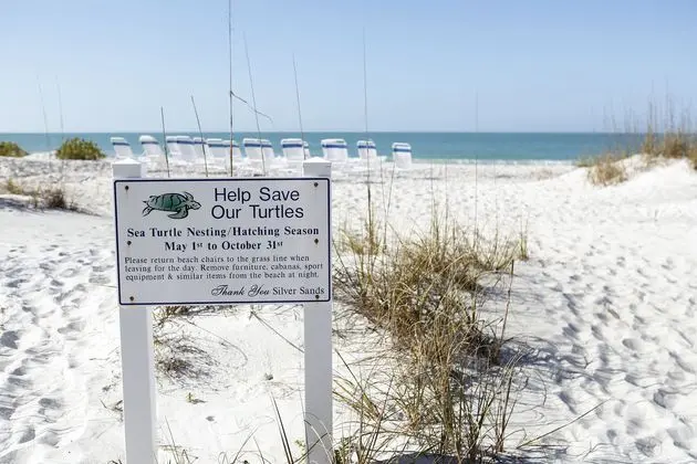 Silver Sands Gulf Beach Resort by RVA