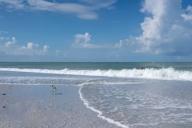 Silver Sands - Plaj