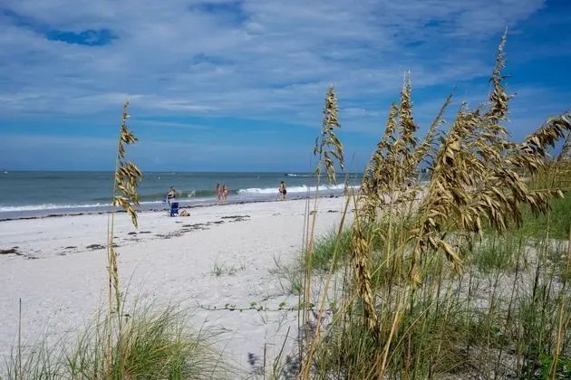 Silver Sands - Plaj
