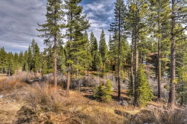 Silver Tree Sanctuary - Dış Mekan